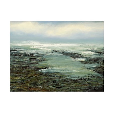 Michael Mote 'Shallow Reef' Canvas Art,24x32